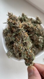 IMG_1783.jpeg