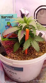 IMG_20251006_102001.jpg