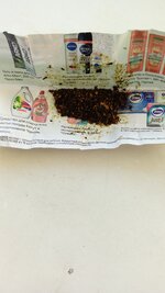 IMG_20251008_133531_397.jpg