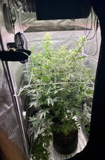 IMG_1624.jpeg
