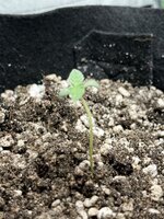 IMG_3480.jpeg