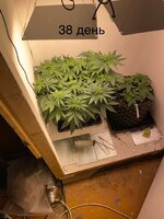 IMG_0659.jpeg