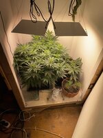 IMG_0735.jpeg