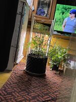 IMG_0867.jpeg