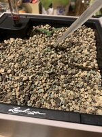 IMG_8820.jpeg