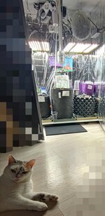 P_20251013_142021_1.jpg