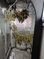 IMG_20251013_131319.jpg