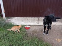 IMG_20251017_073045.jpg