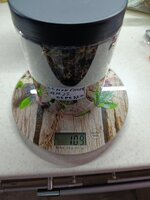 IMG_20251018_155230.jpg