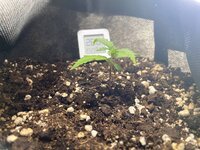 IMG_0656.jpeg