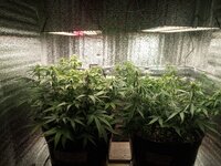IMG_20251021_190806_353.jpg