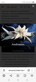 Screenshot_20251028-064839.jpg