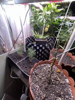 IMG_1349.jpeg