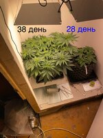 IMG_0659.jpeg