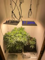 IMG_0704.jpeg