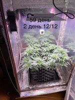 IMG_1314.jpeg