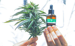 Kak-proizvoditsya-maslo-CBD__vFk2wLGxONWCnGlT.jpg Kak-proizvoditsya-maslo-CBD__vFk2wLGxONWCnGlT.jpg
