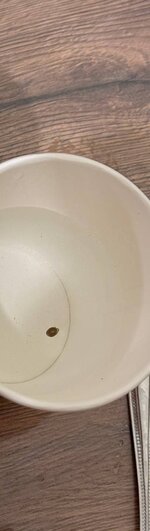 IMG_20251106_132407_527~2.jpg