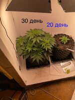 IMG_0583.jpeg