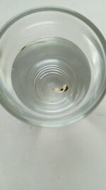 1762586190371.jpg