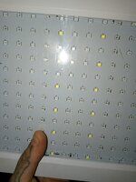 IMG_20251108_173937_342.jpg