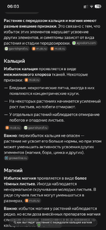 IMG_3039.png