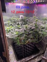 IMG_1521.jpeg