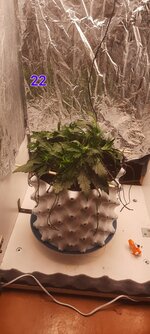 20251110_104759.jpg
