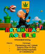 lottery-november-21.jpg