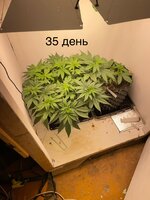 IMG_0640.jpeg