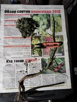IMG_20251102_171536.jpg