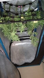 IMG_20251121_104821_826.jpg
