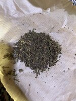 IMG_1684.jpeg