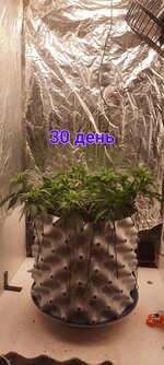 20251118_123825.jpg