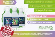 ркт.jpg