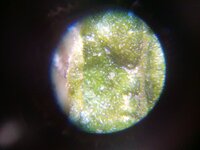 IMG_20251126_101638_874.jpg