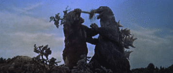 x80x8ubfjfd61.gif