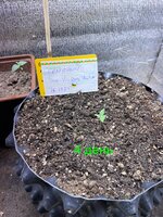 IMG_1756.jpeg