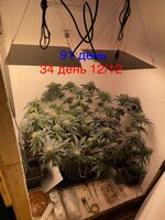 IMG_1762.jpeg