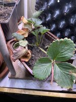 IMG_1770.jpeg