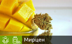 mircen__Mp9R4EtBgCJyuUdB.jpg