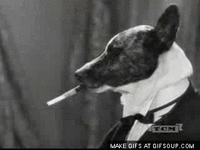 0434c25e1ce23ef1dd9c4685edae7e53.gif