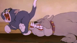 tom-and-jerry312.gif