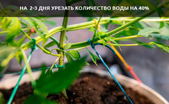 posle-trenirovok__LhpD582M3SOJVfiO.jpg