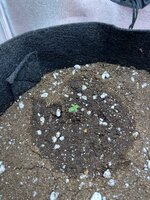 IMG_1895.jpeg