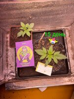 IMG_1886.jpeg