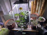IMG_1891.jpeg