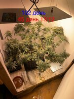 IMG_1907.jpeg