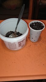 IMG_20251211_154943_815.jpg