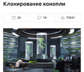 IMG_1876.jpeg